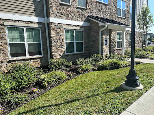 River Vale Place property